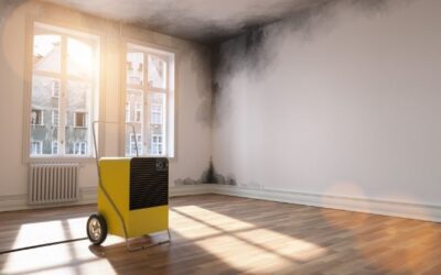 ¿Cómo prevenir las humedades de la pared?