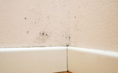 ¿Cómo prevenir las humedades de la pared?