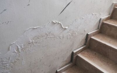 What is the difference between damp-proof and mould-proof paint?