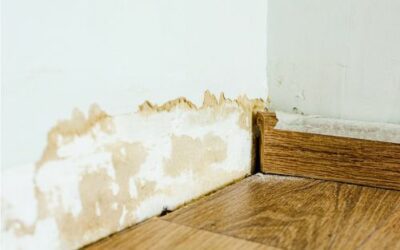 Why does damp come out of the wall?