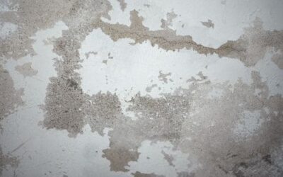 Damp problems? Find effective solutions