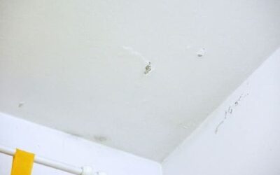 How to remove damp from the wall?
