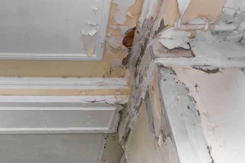 humedad en pared por condensación filtración o capilaridad