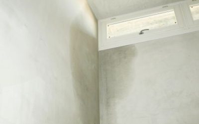 What paint to use for damp walls?